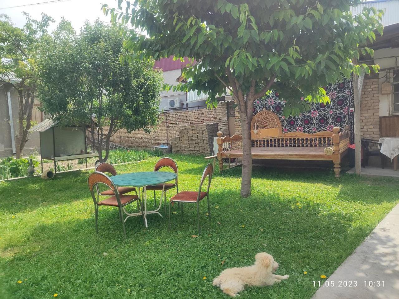 Tasmin Mexr Hostel Samarkand Exteriér fotografie
